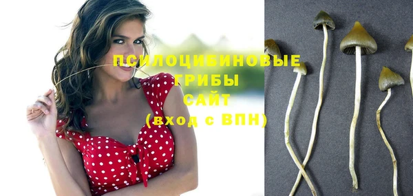 метадон Коряжма