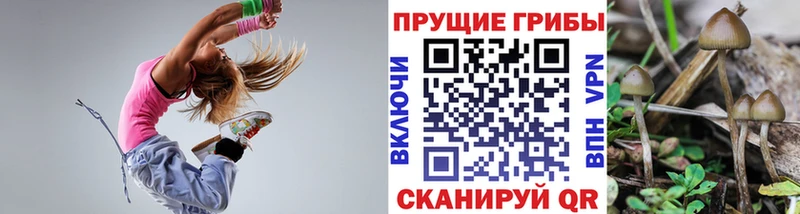 Галлюциногенные грибы Cubensis  Купить  Правдинск 